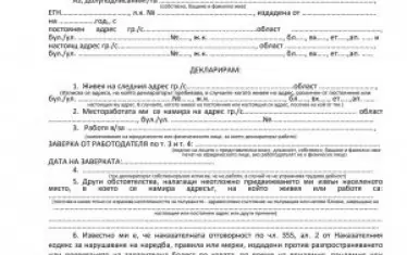 Не, не влизате в затвора за невярна КПП-декларация