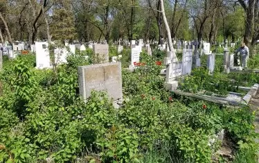 София пуска допълнителен транспорт за Архангелова задушница
