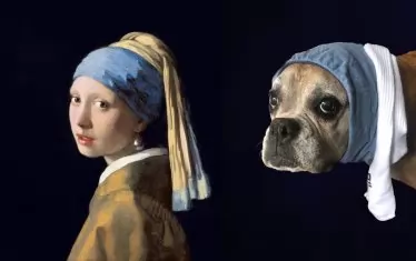 Йоханес Вермеер, “Момичето с перлената обеца”