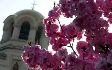 Цветница е - православният свят празнува Вход Господен в Йерусалим