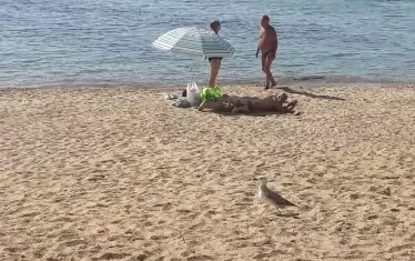 Някои хора не мога да се припичат на слънце, защото страдат от слънчева алергия.