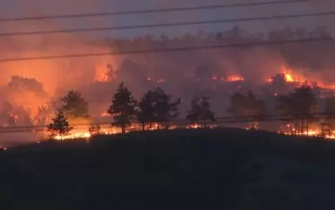  Горският пожар край село Дълбоки. 