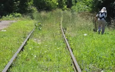 "Замразена" от години, жп  линията е обрасла с храсти и трева. 