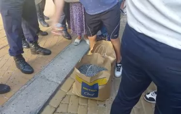 Семките, с които протестиращите замеряха правителствената сграда в знак на недоволство срещу псевдопромените, направени днес от премиера Борисов 