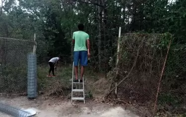  Маркиране на територия. 