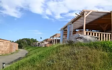 Почивката сред природата рестартира биологичния часовник на децата, подобрява апетита им и обмяната на веществата, подобрява креативността и адаптивността им и ги учи на нови умения.