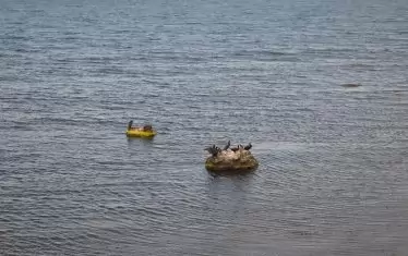 Тези обитатели съжителстват с хората.