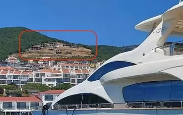 Гората в Св. Влас, която вече не е гора.
снимка: "Зелени Закони" и "Биволъ"