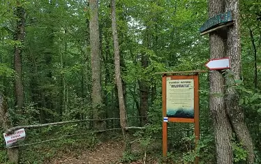  До оброчището има информационна табела.