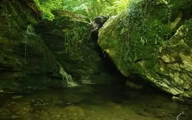  Водата в аязмото е лековита.