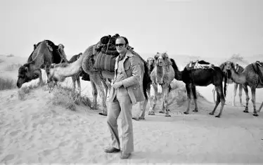  На „паркинга“ с камилите