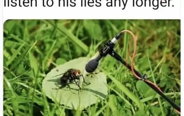 "Просто ми писна да стоя там и да слушам лъжите му."