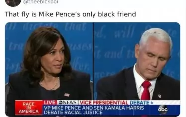 Тази муха е единственият черен приятел на Майк Пенс.