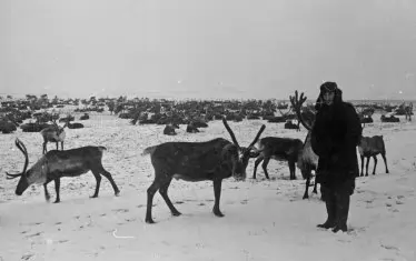 Една от сибирските фотографии на Радичков.