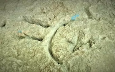 Петроглиф на скала в Глухите камъни.