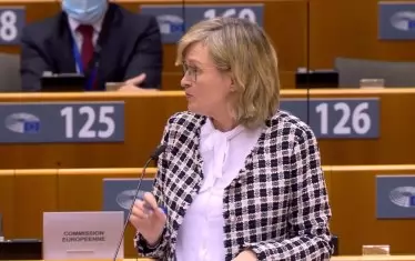 Марей Макгинес от Еврокомисията единствена взе думата след докладчика, и то по служебно задължение