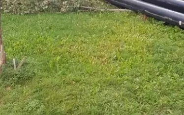  Също както при частните обекти, често и при общинските ремонти отношението към градската среда е вандалско.   