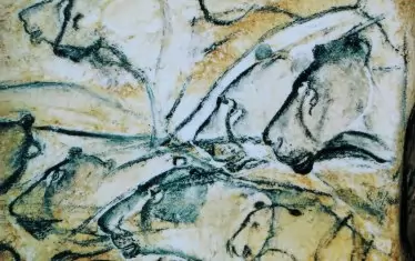 Рисунки на лъвове отпреди 30 хиляди години в пещерата Шове, Франция. 