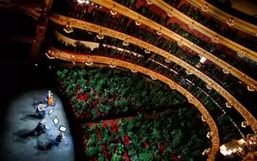  22 юни 2020 г., Барселона - струнен квартет изнася концерт пред 2200 растения, които ще бъдат подарени на здравни работници.