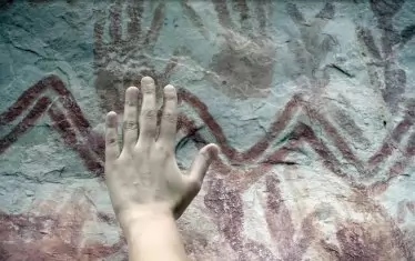 .отпебатъците на ръце са многобройни. 