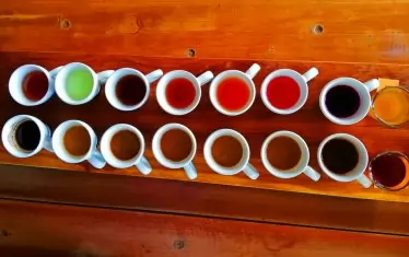 Кафето от изпражнения на цивета.