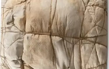  Кристо, „Пакет“ 92,5 x 73,5 x 26 cm  (1961 г.) 