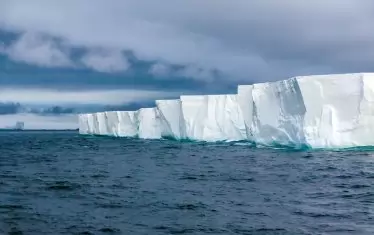   Леденият континент