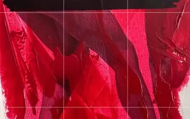  Петко Дурмана, от серията „Момичето с правилните обувки“.