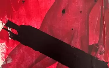  Петко Дурмана, от серията „Момичето с правилните обувки“.