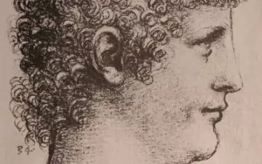 Леонардо да Винчи, рисунка на Салаи.  