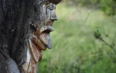 Дърворезбите на Йоско Йосифов.