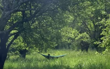 Поляните край село Заселе са идеални за пикник и отмора.