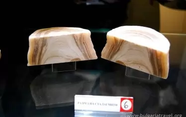 В Музея на карста има богата експозиция от минерали, скъпоценни и полускъпоценни камъни.