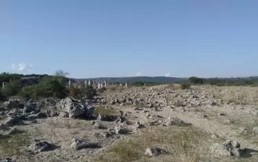 Що е то пустиня и има ли тя почва у нас