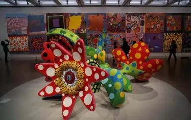 Токио, 2017 г.