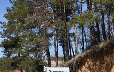  Злокучене не идва от "зло куче".