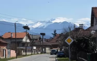  Гнездата започват да се редят по главния път веднага щом подминете табелката "Драгушиново".
