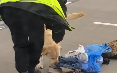  Водачи на кучета имитират, че търсят нещо опасно в багажите.