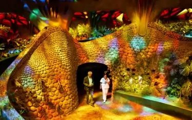   В "търбуха" на змията.