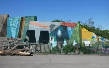 Мечкарникът, в който Лиам чака сингапурската си булка, е украсен от известния уличен художник Насимо. 