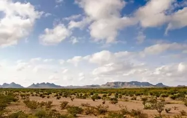  Типичният ландшафт на пустинната Зона