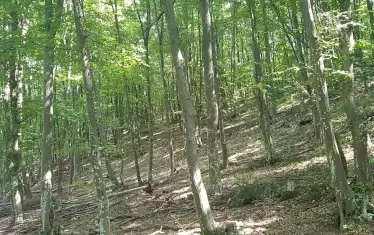 Служебната власт пусна кариера
за варовик и предизвика протест