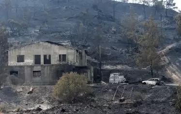 Щетите от пламъците в село Мелини.