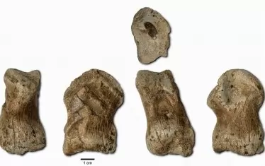 Неандерталци правят първите накити в Европа преди 51 хил. години