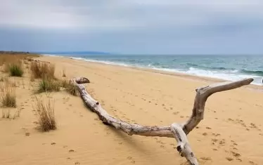  Златните "Камчийски пясъци" минаха в частни ръце. 