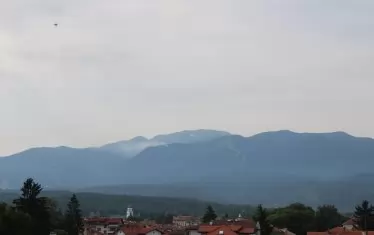 15 декара бор горят край "Ястребец" и Мусала