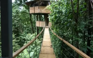 Къщичката на дърво, в която Дари и Дани са настанявали туристи.