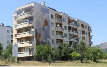  Още първите блокове в Маджарово ни посрещат с изображения на египетския лешояд - птицата, която местните хора и природозащитници от цял свят се опитват да спасят от изчезване.