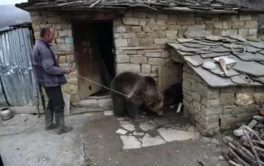  Рику идва от селски двор в планинската област Шкрапар в южната част на Албания. Мечката чака половин година оформянето на документите за прехвърлянето й в Белица.