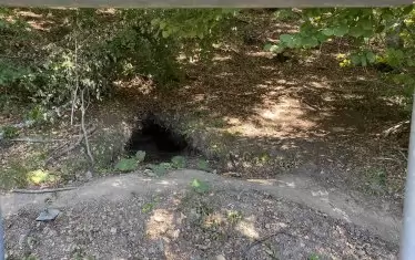  Хралупата, изкопана от мечката Рада.  